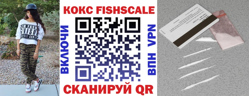 цена наркотик  Грозный  Cocaine FishScale 