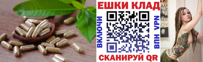 Ecstasy 250 мг Грозный