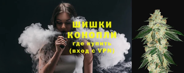 стаф Бугульма