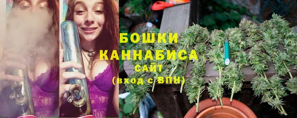 прущая мука Бородино