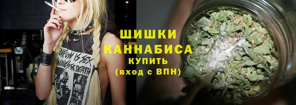 прущая мука Бородино