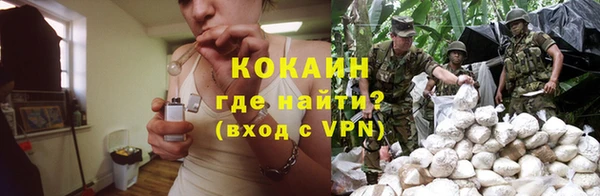 стаф Бугульма
