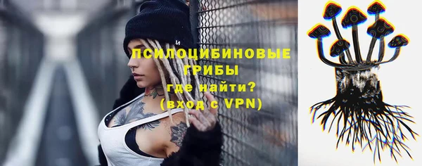 стаф Бугульма