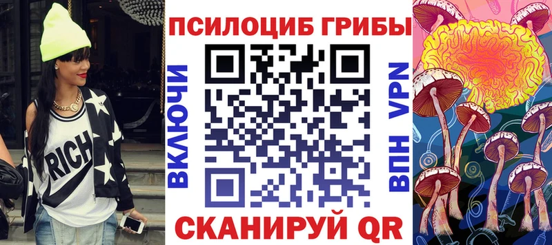 Галлюциногенные грибы Psilocybe  как найти закладки  Грозный 