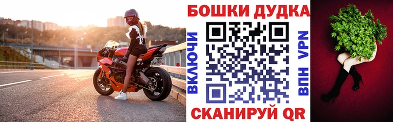 Каннабис планчик  магазин продажи   Грозный 